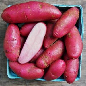 potatoes - ama rosa. Multiple product options available: 3