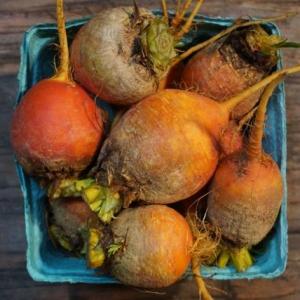 beets - golden. Multiple product options available: 2