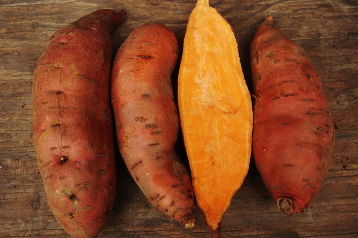 sweet potato - covington