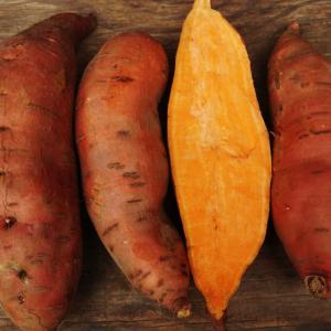 sweet potato - covington. Multiple product options available: 5