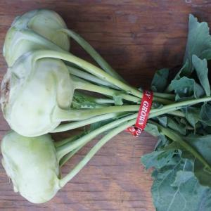 kohlrabi. Multiple product options available: 4