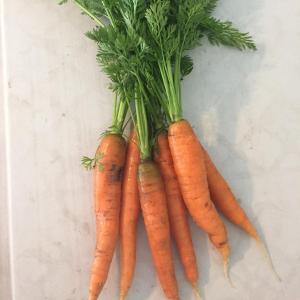 Produce- Carrots