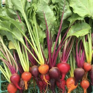 Produce- Beets