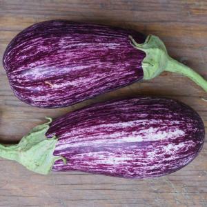eggplant - variegated. Multiple product options available: 2