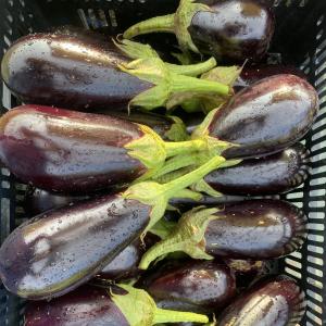 Produce- Eggplant. Multiple product options available: 3