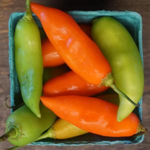 peppers - hot aji rico. Multiple product options available: 2