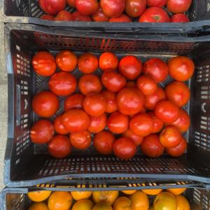 Produce- Tomatoes, Slicing . Multiple product options available: 6