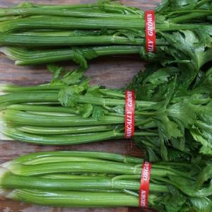 celery. Multiple product options available: 2