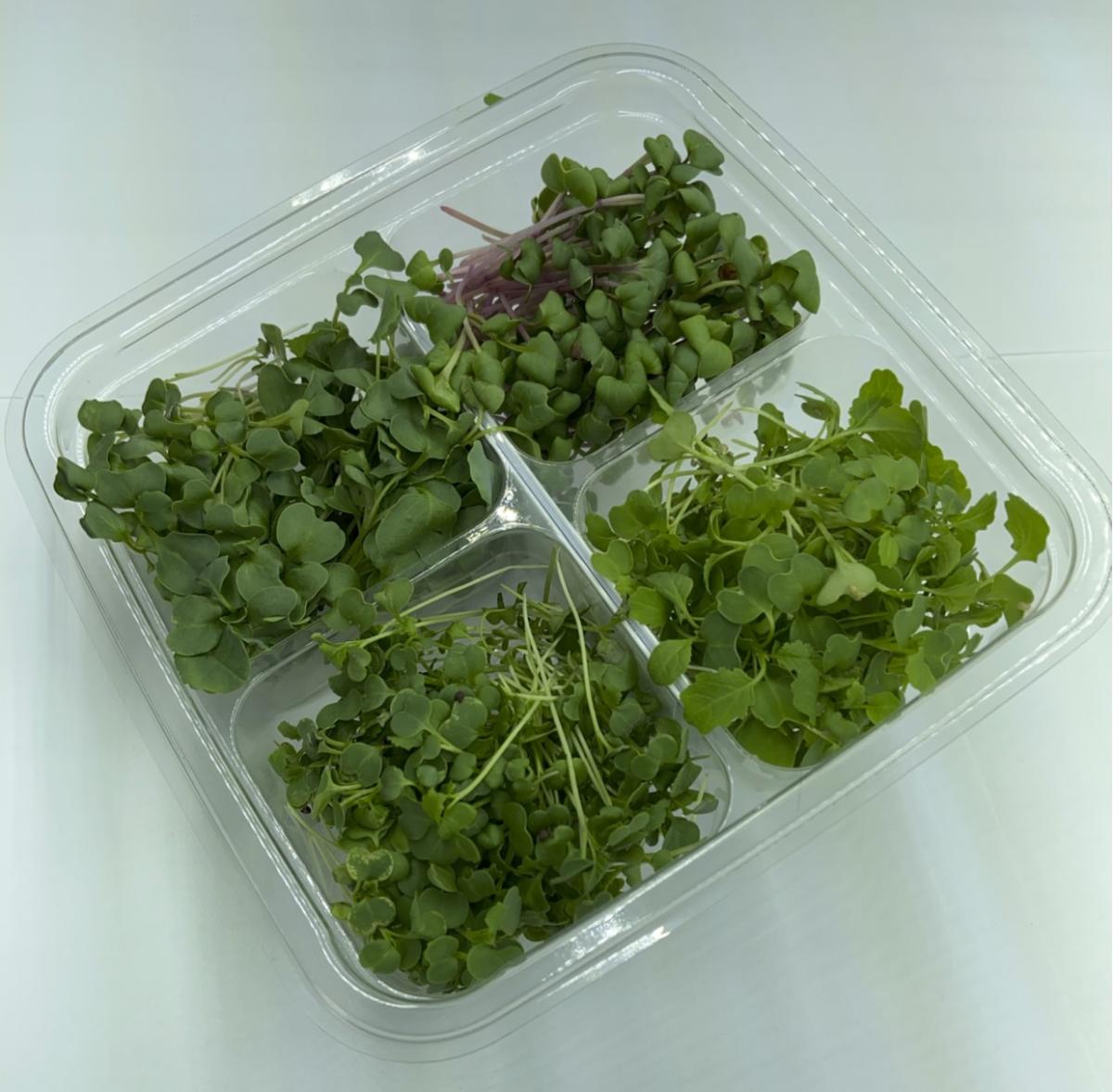 Microgreen - Quad Pack - Growers Choice - PREORDER