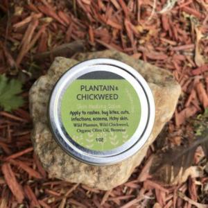 Plantain &amp; Chickweed Salve. Multiple product options available: 2
