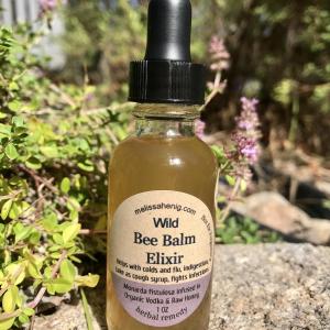 Wild Bee Balm Elixir