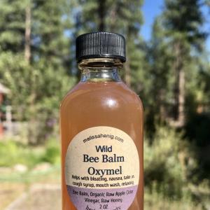 Wild Bee Balm Oxymel