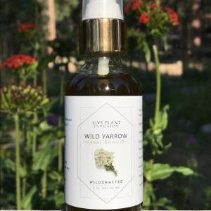 Yarrow Herbal Body Oil