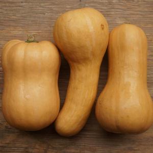 winter squash - butternut. Multiple product options available: 2