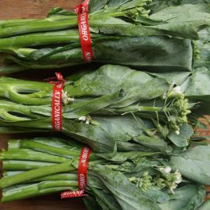 broccolini - asian. Multiple product options available: 2