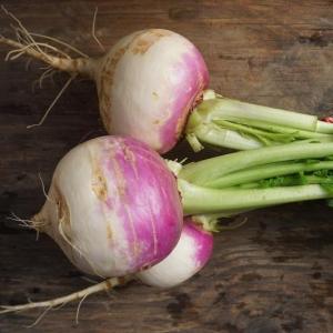 turnips - purple top white globe. Multiple product options available: 4