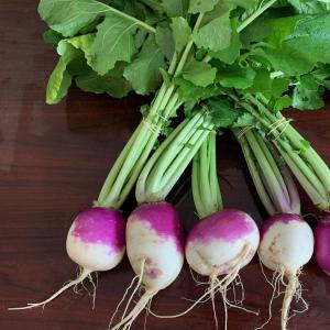 Produce- Turnips , Purple Top