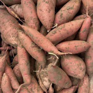 Produce- Sweet Potatoes 