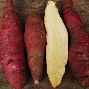 sweet potato - murasaki. Multiple product options available: 5