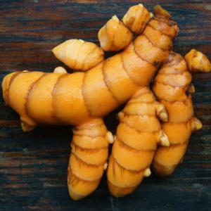 turmeric - fresh. Multiple product options available: 3