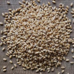wheat berries - soft white. Multiple product options available: 5
