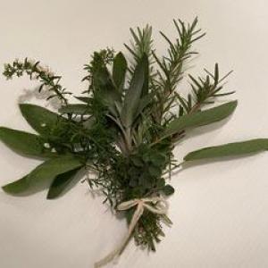 Herb - Herb Bundle