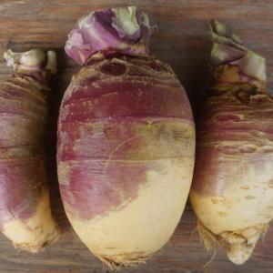 rutabaga. Multiple product options available: 2
