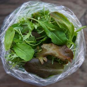 mesclun mix. Multiple product options available: 3