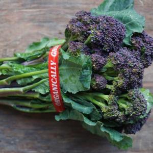 broccolini - purple. Multiple product options available: 3
