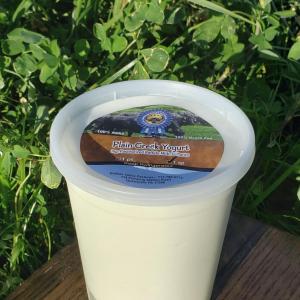 Wwater Buffalo Greek Yogurt - Plain