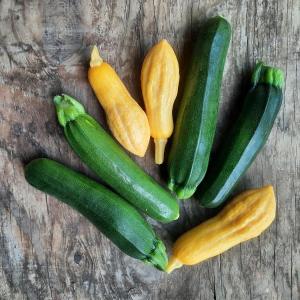 summer squash - mix. Multiple product options available: 3