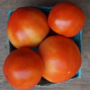 tomatoes - red hybrid. Multiple product options available: 4