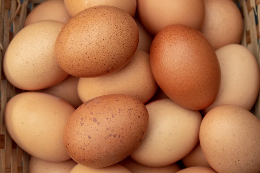Organic Home-Raised Eggs