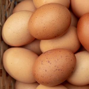 Organic Home-Raised Eggs