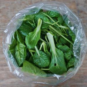 asian green mix. Multiple product options available: 4