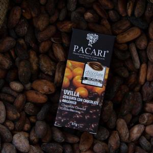 Pacari chocolate covered Goldenberries