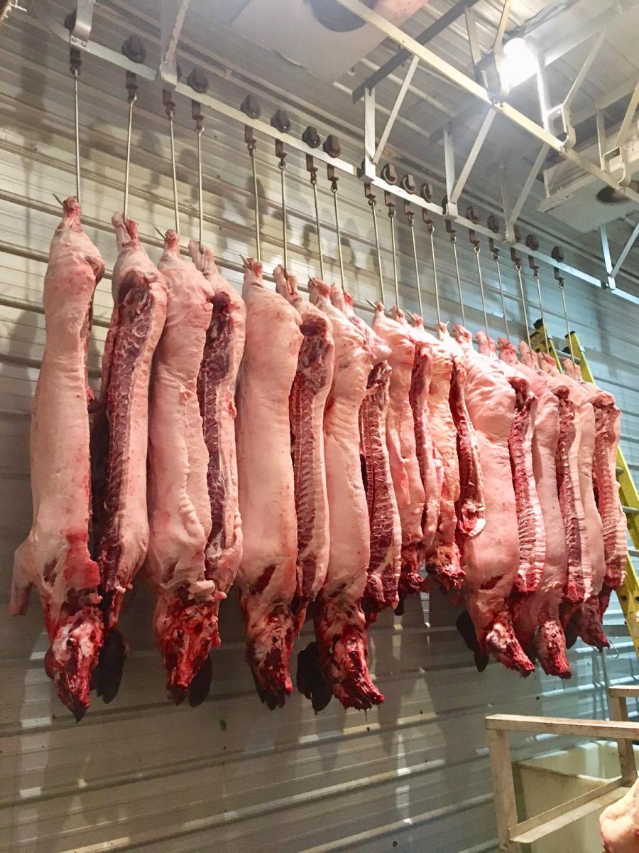 On farm butcher classes 