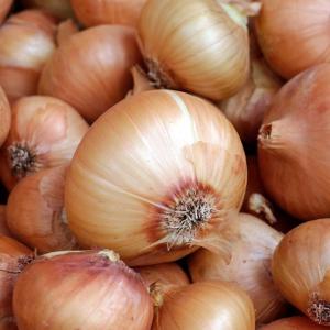 Produce -- Onions