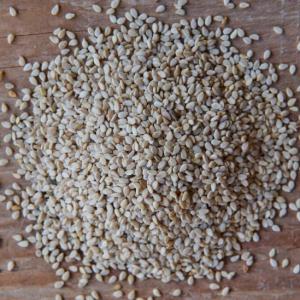 sesame seeds