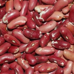 dry beans - jacobs cattle. Multiple product options available: 2