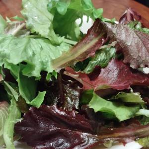 Produce -- lettuce mix