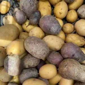 Produce- Potatoes. Multiple product options available: 3