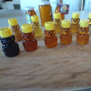 Honey sampler