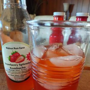 Kombucha -- Strawberry Splendor