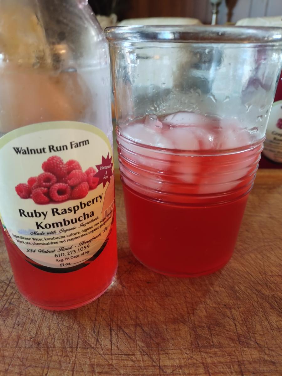 Kombucha -- Ruby Raspberry