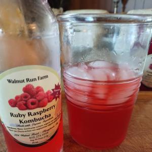 Kombucha -- Ruby Raspberry