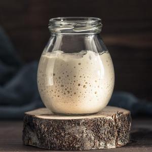 Live Sourdough Starter