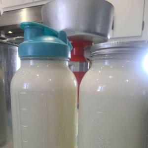 Raw Whole Milk - Call or text to order 320.220.3235
