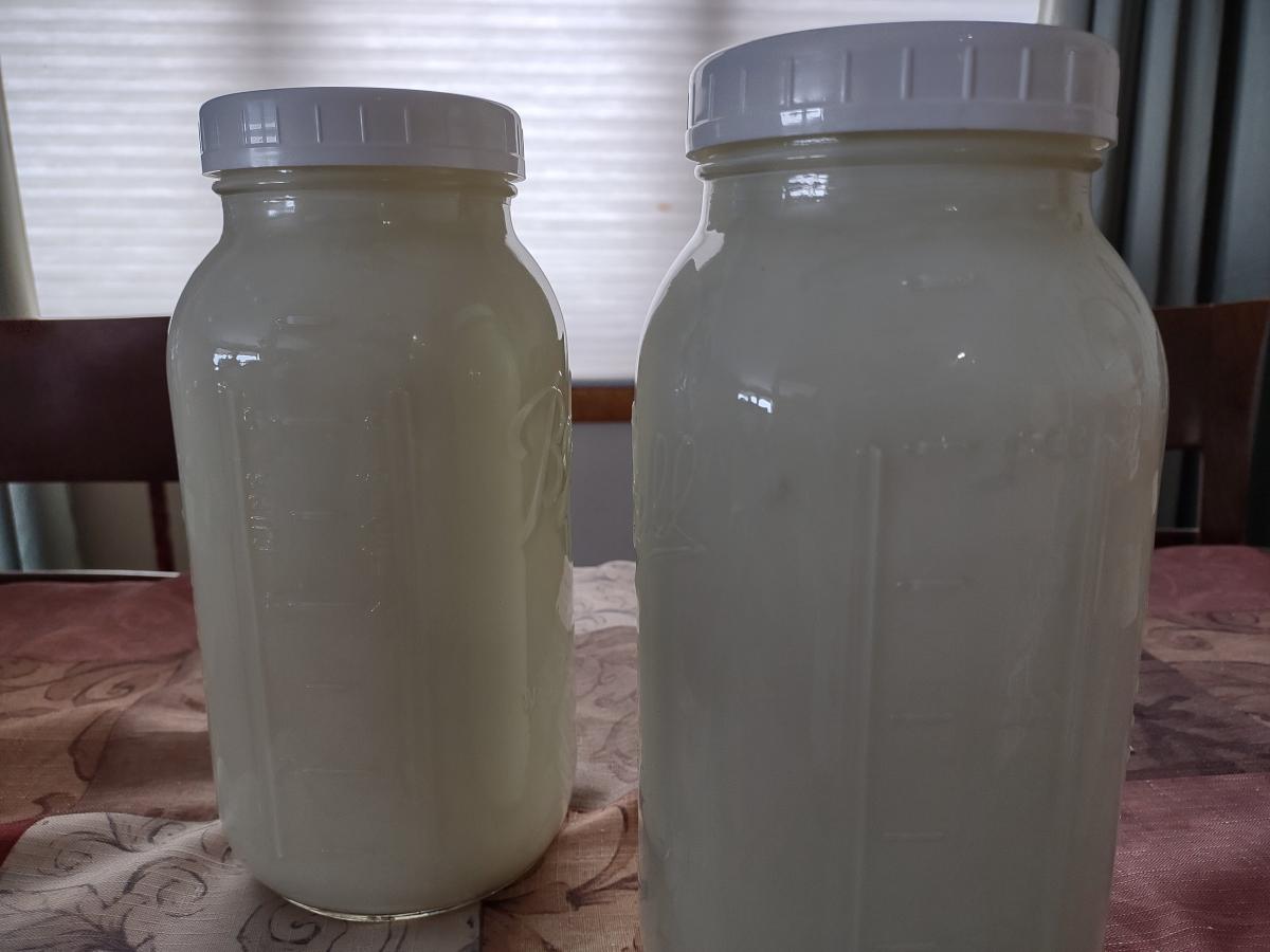 Organic [raw] skim milk