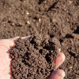 Organic Compost. Multiple product options available: 5